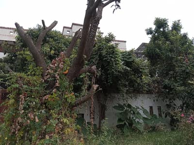 i-8 one kanal Ground portion For Rent.