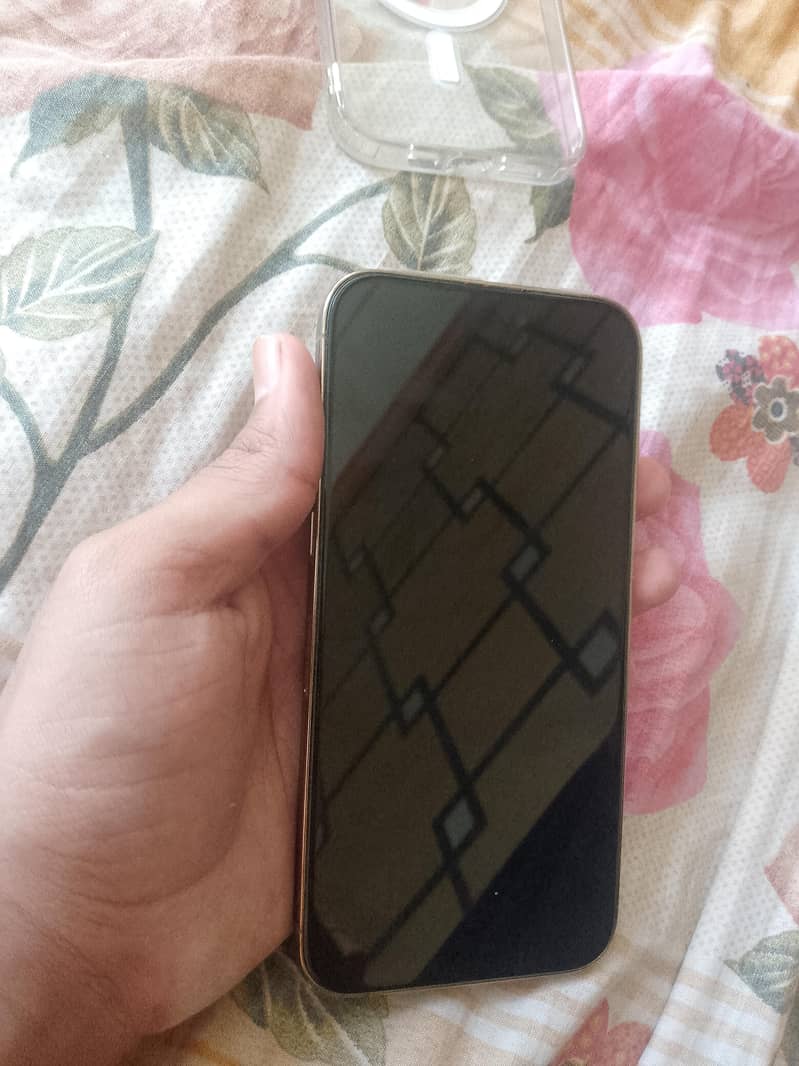 Apple iPhone 14 Pro Max 1