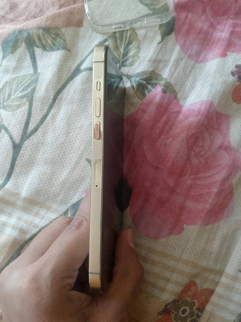 Apple iPhone 14 Pro Max 3