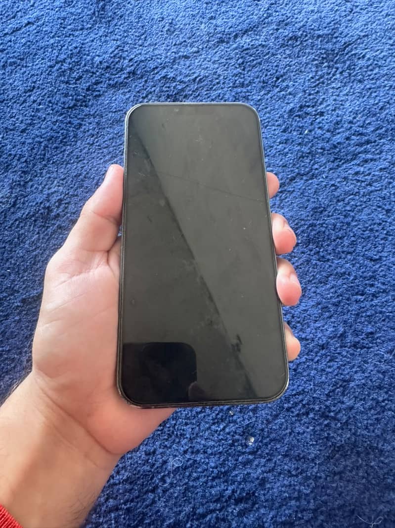 Apple iPhone 13 Pro Max 1