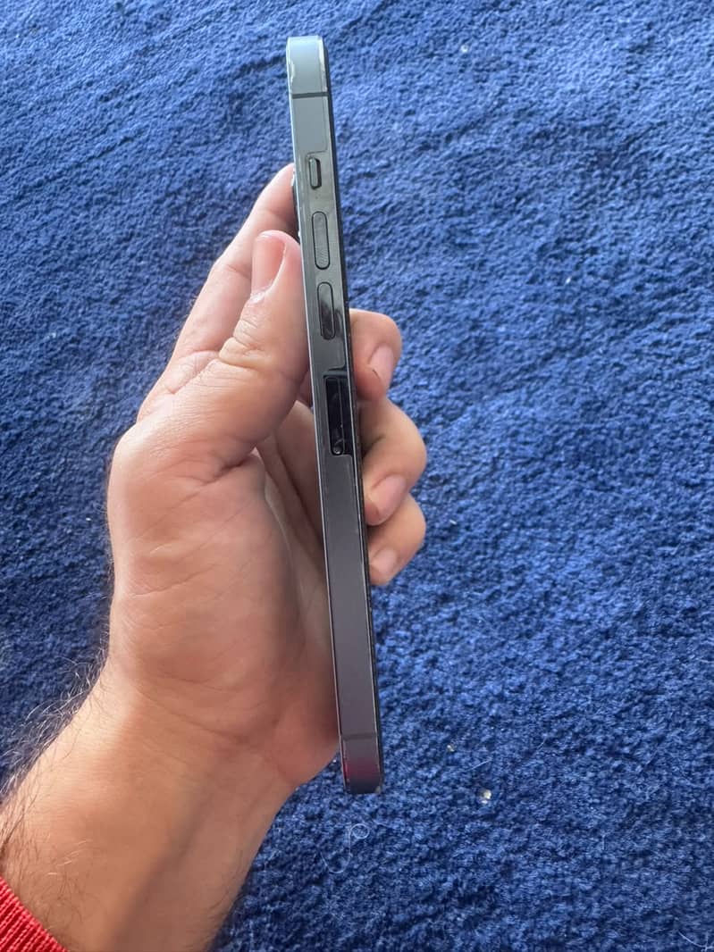 Apple iPhone 13 Pro Max 2
