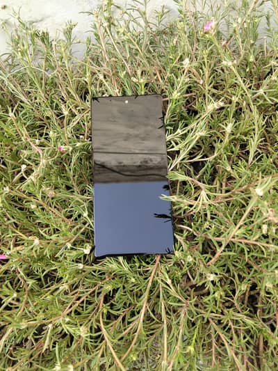 Original Google Pixel 6a Display Panel