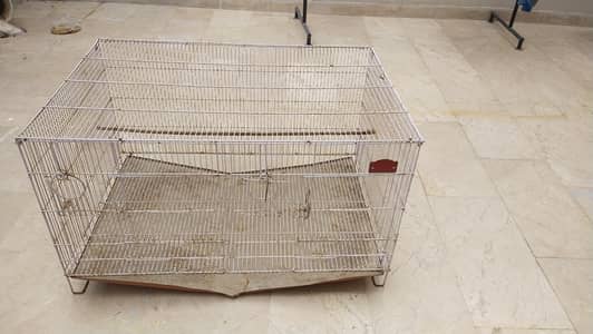 Hen | Bird Cage