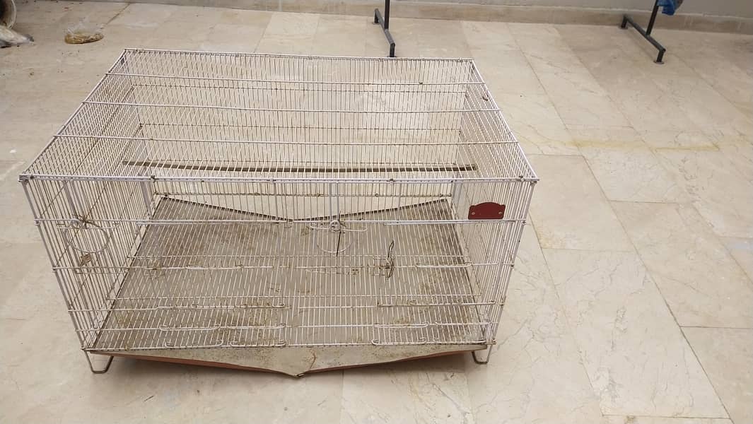 Hen | Bird Cage 0