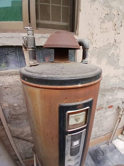 ambassador geyser 65 gallon