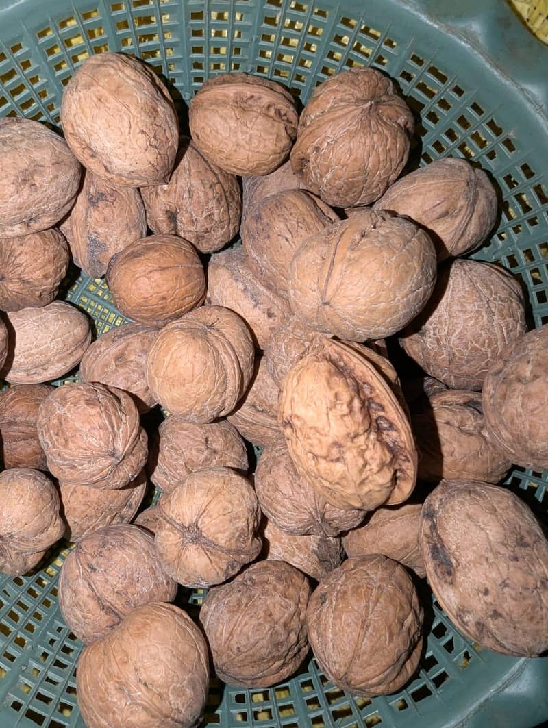 100% Desi Walnut 2