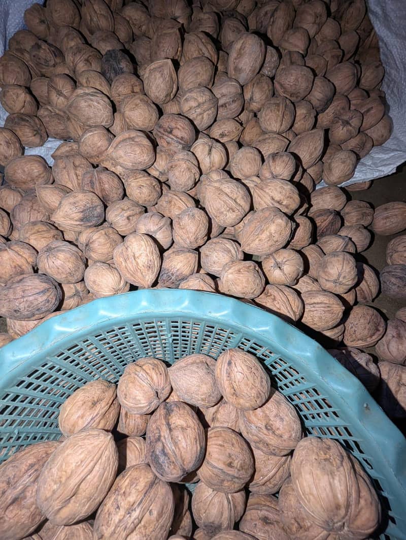 100% Desi Walnut 7