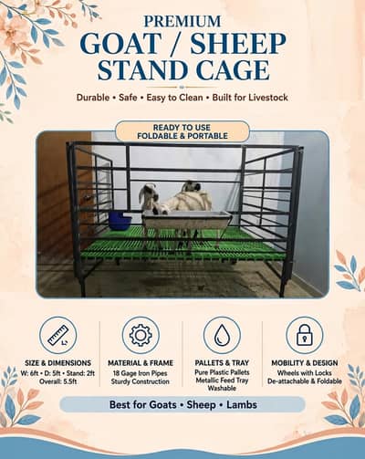 Premium Goat / Sheep Stand Enclosure (Brand New)