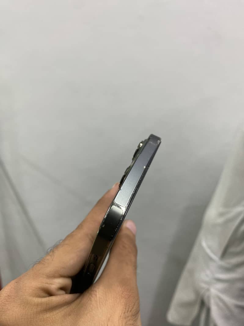 Apple iPhone 13 Pro Max 2