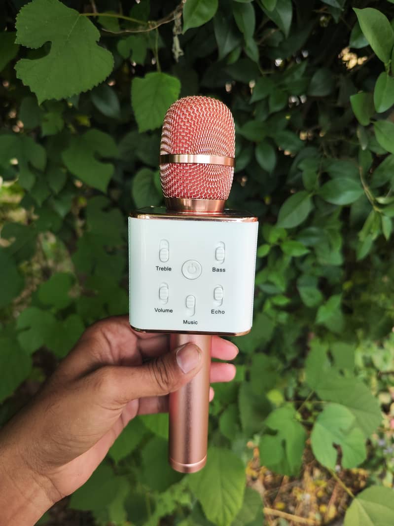 Royche karaoke Mic 2