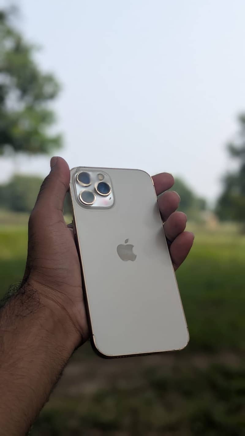 Apple iPhone 12 Pro Max 1