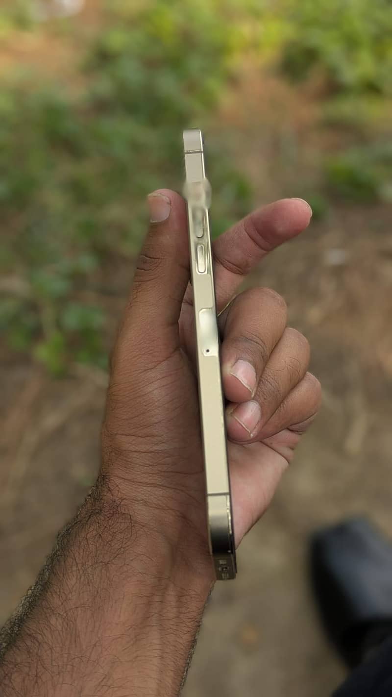 Apple iPhone 12 Pro Max 2