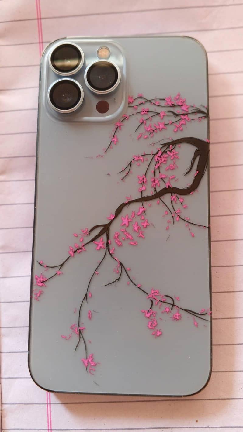 iPhone 13 pro max 0
