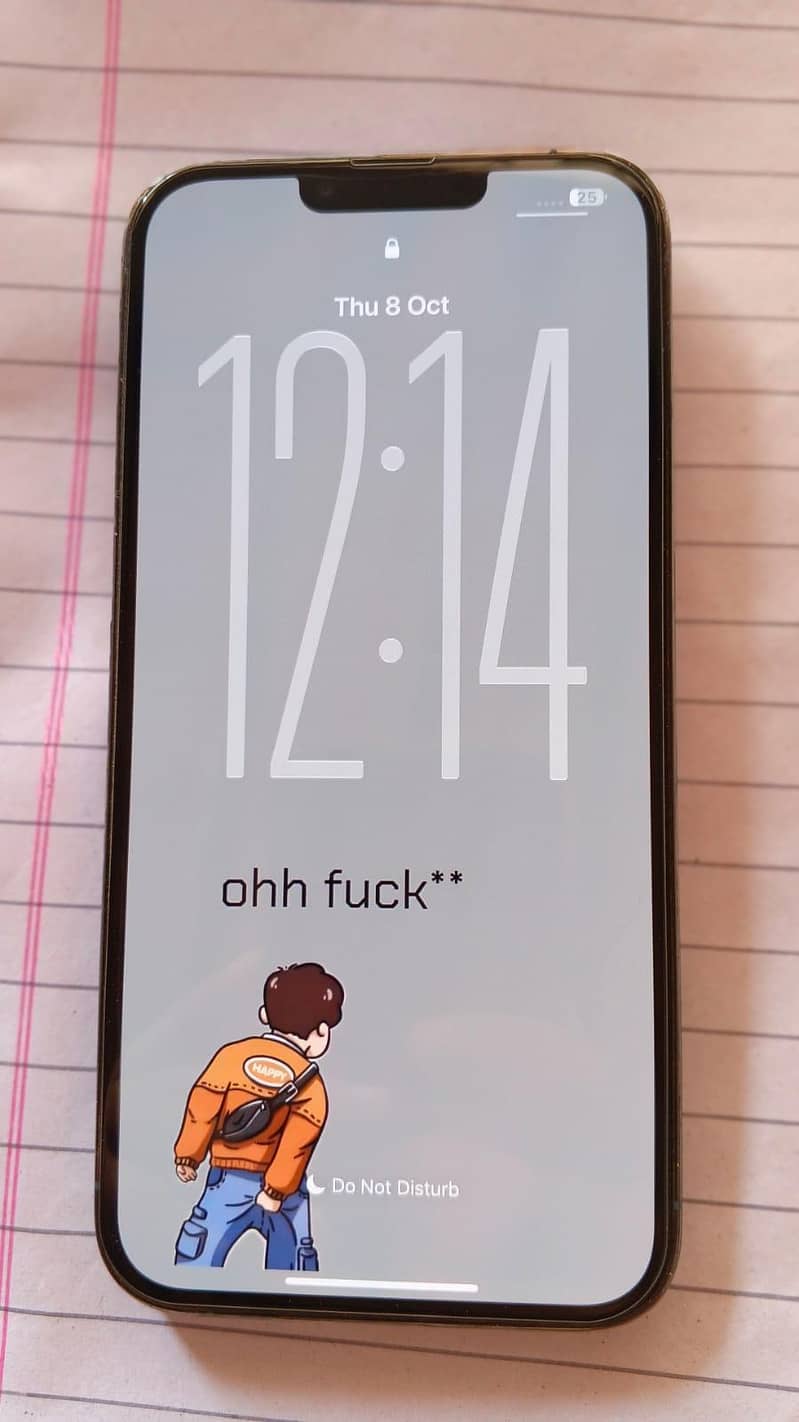 iPhone 13 pro max 1
