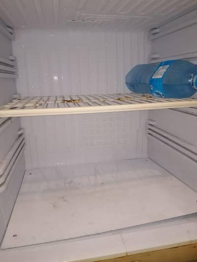 pel frige for sell