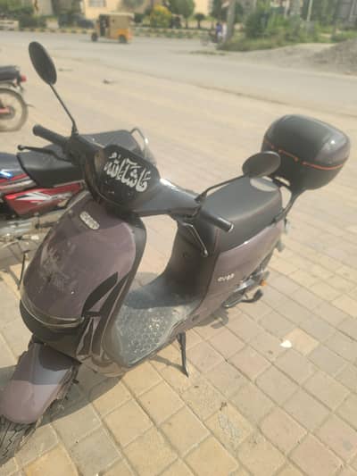 urgent sale for socoty available