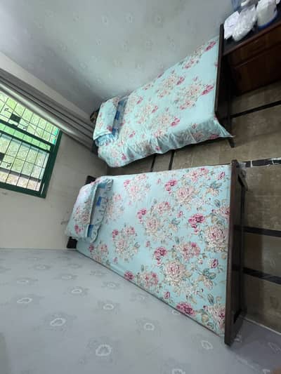 Two Wooden Single beds without mattress