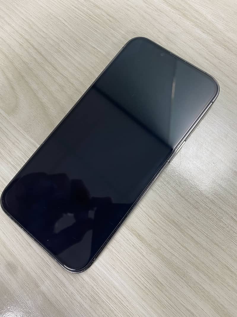 Apple iPhone 13 Pro 1