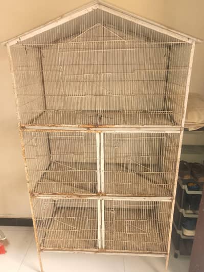 5 PORTION CAGE AVAILABLE