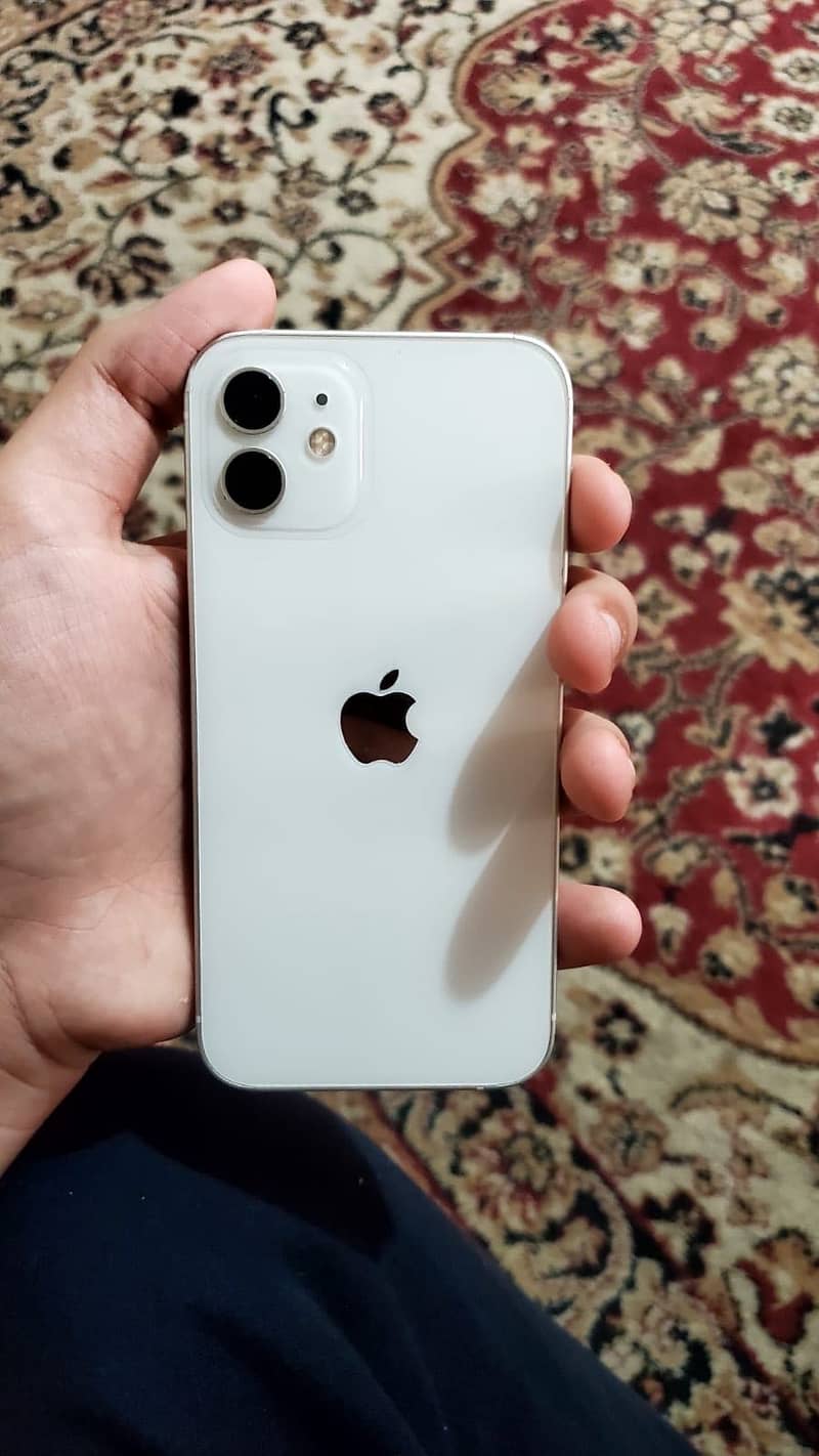 Apple iPhone 12 1