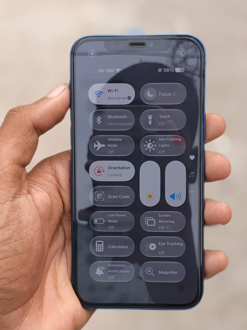 iPhone 12 1