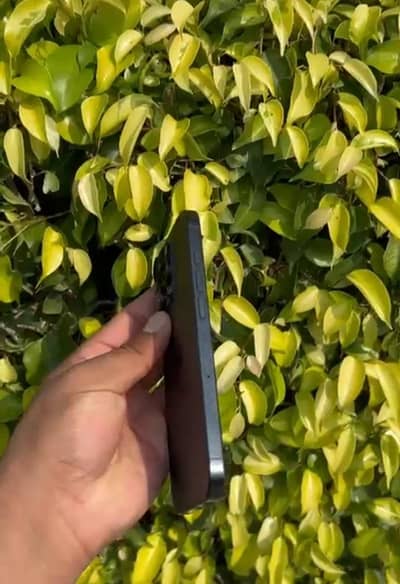 Apple iPhone 16 Pro