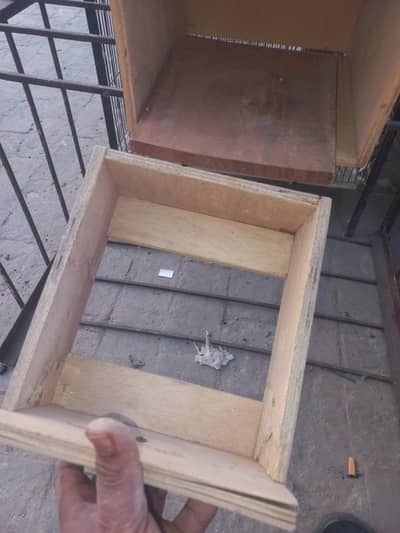 birds box