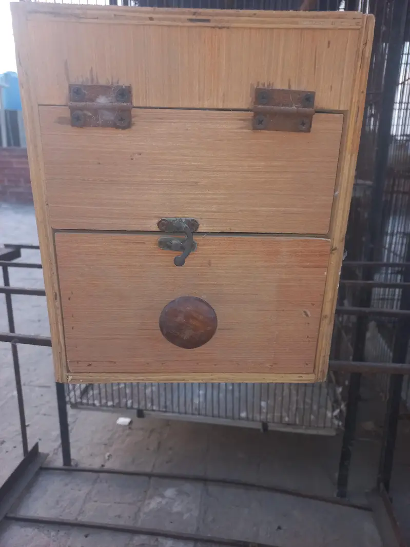 birds box — photo 5