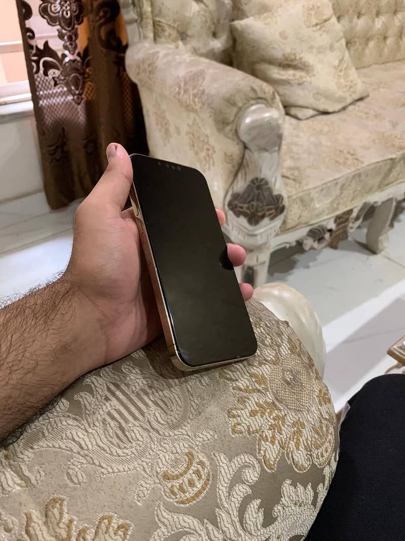 Apple iPhone 13 Pro Max 1