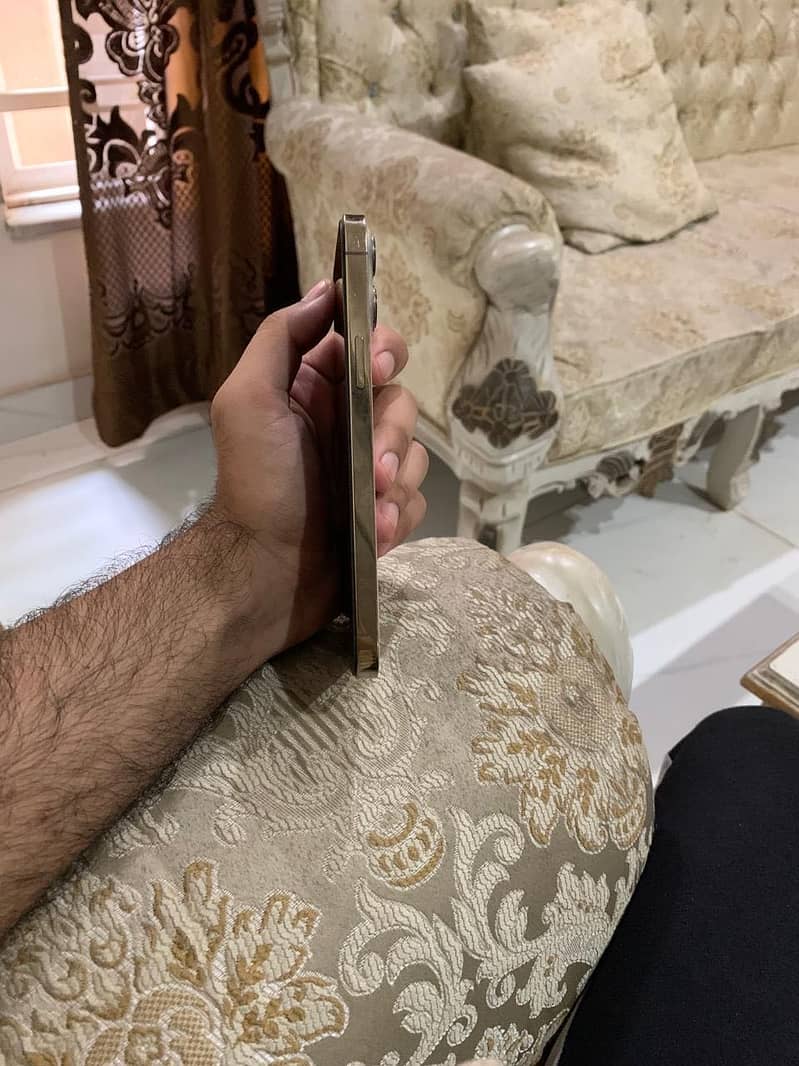 Apple iPhone 13 Pro Max 2