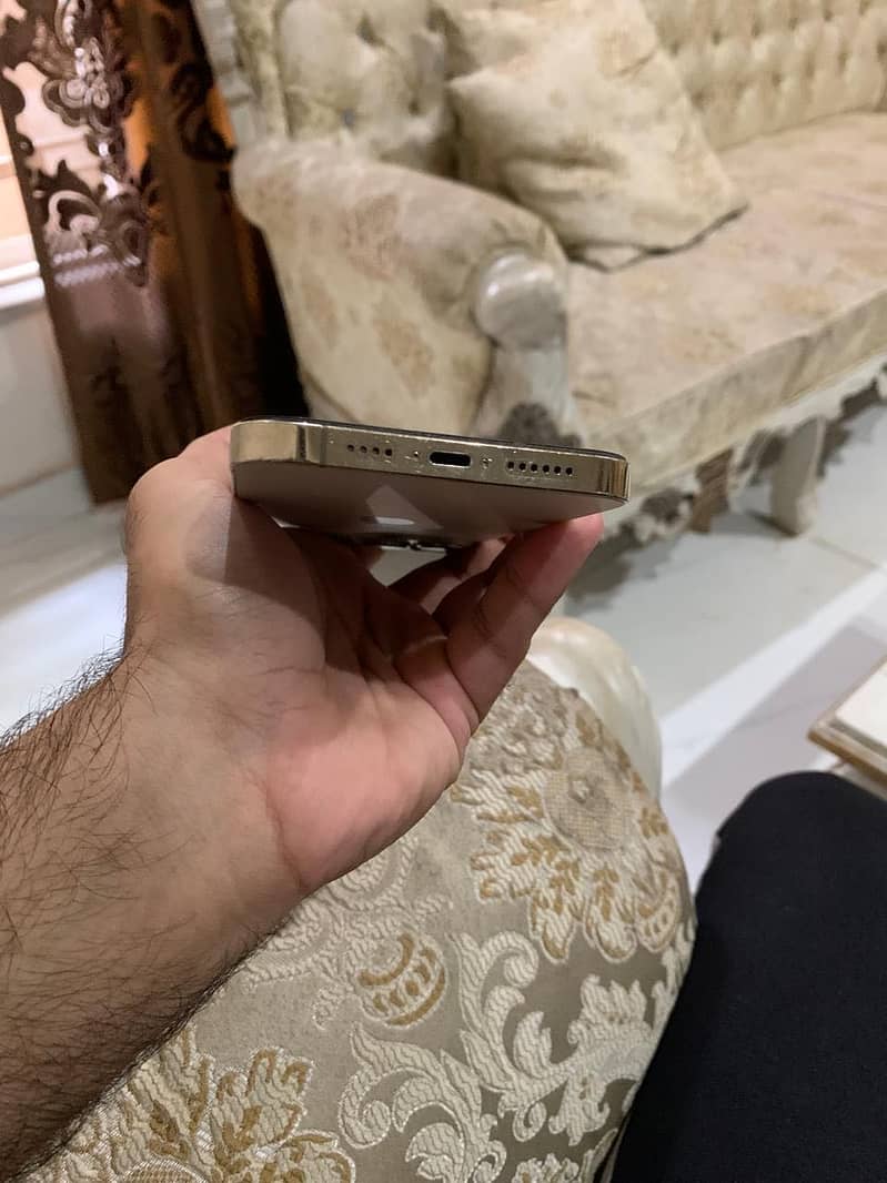 Apple iPhone 13 Pro Max 3