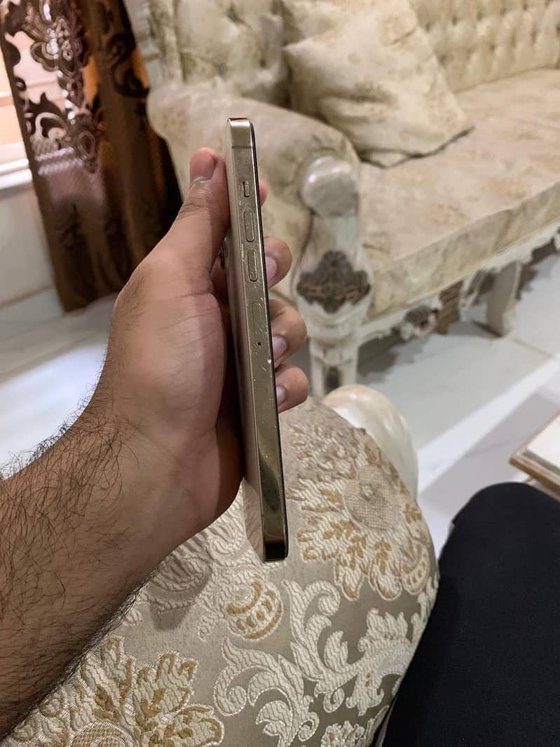 Apple iPhone 13 Pro Max 4