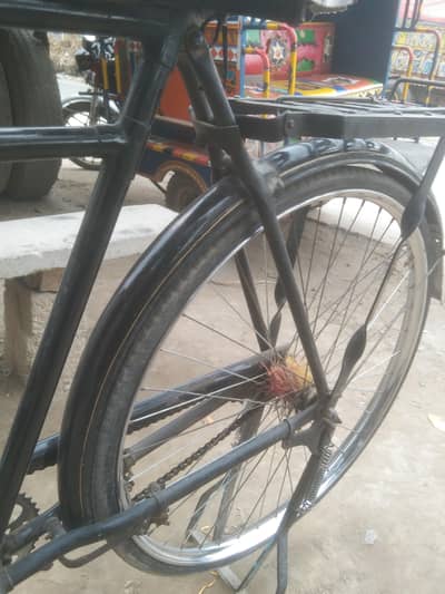 Sohrab Cycle 24 ich