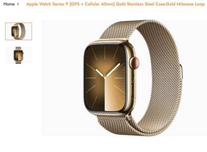 Watch Series 9 [GPS + Cellular 45mm]  Gold Stainless Steel Case USA