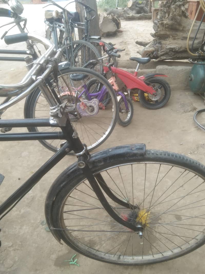 Baba Cycle 1