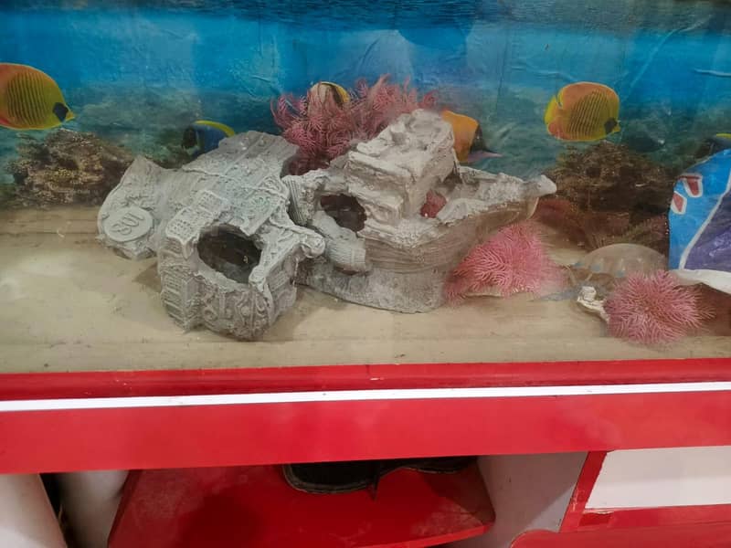 fish tables 1