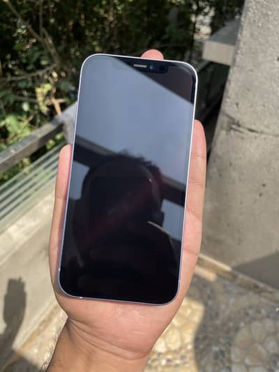 Iphone 12 64gb dual pta aproved