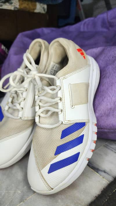 addidas howzat senior spkies
