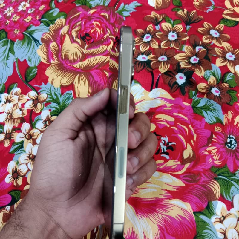 Apple iPhone 13 Pro 1