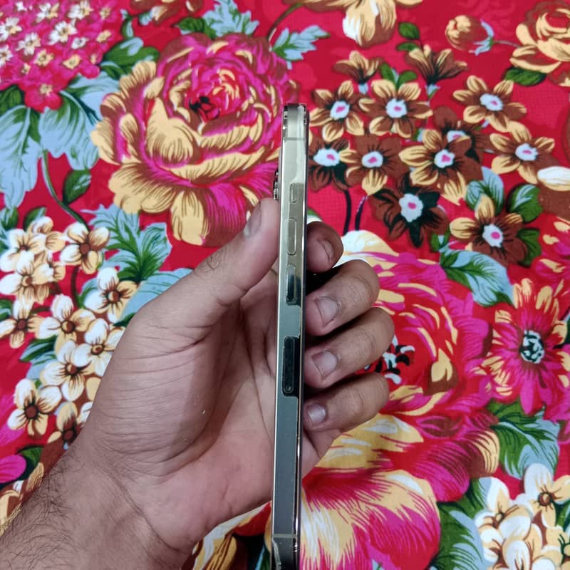 Apple iPhone 13 Pro 5