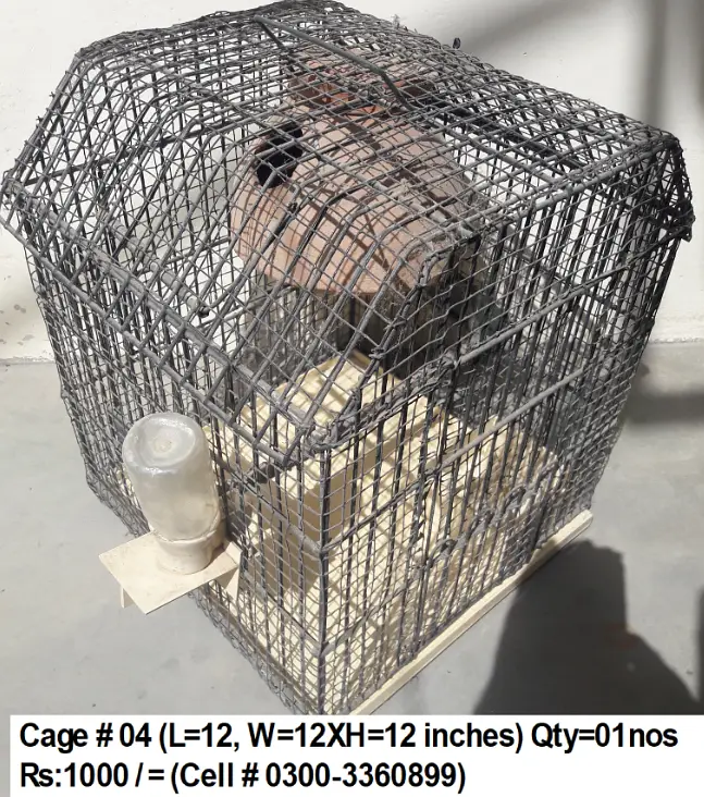 Cages for birds — photo 4