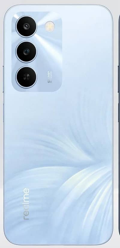 Realme C100 8/255