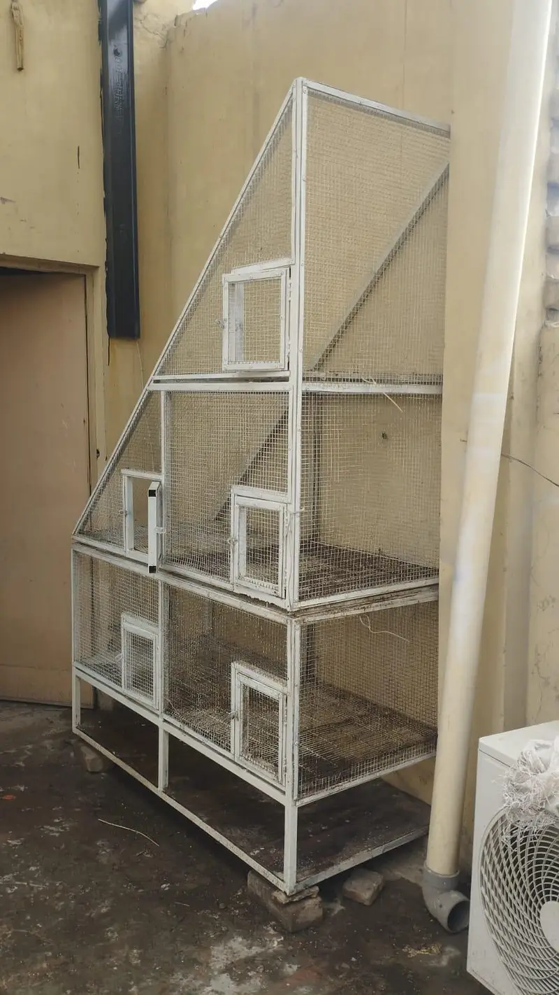 parrots cage — photo 2