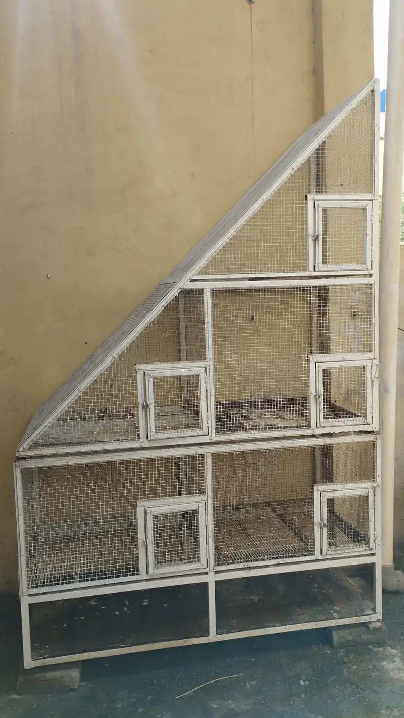 parrots cage — photo 3