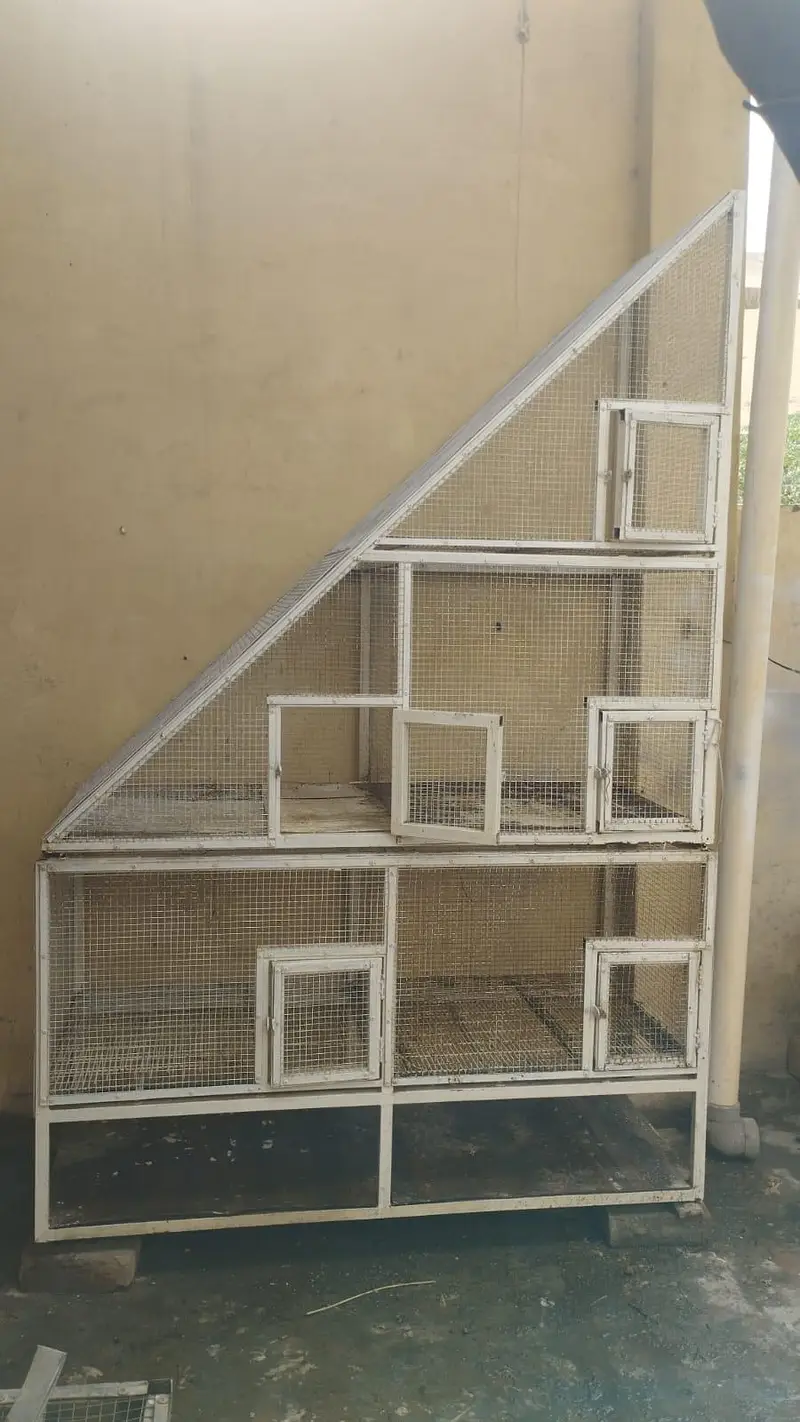 parrots cage — photo 4