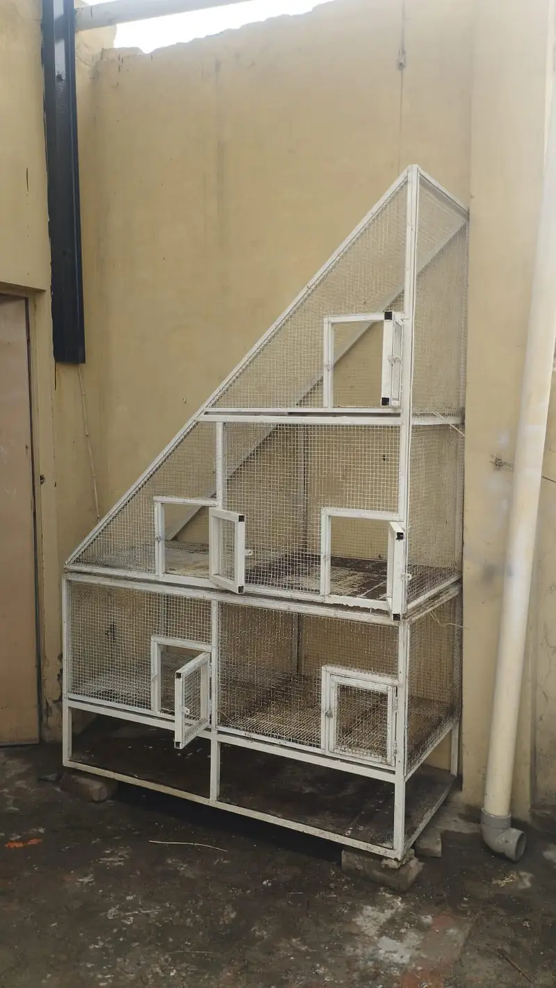 parrots cage — photo 5