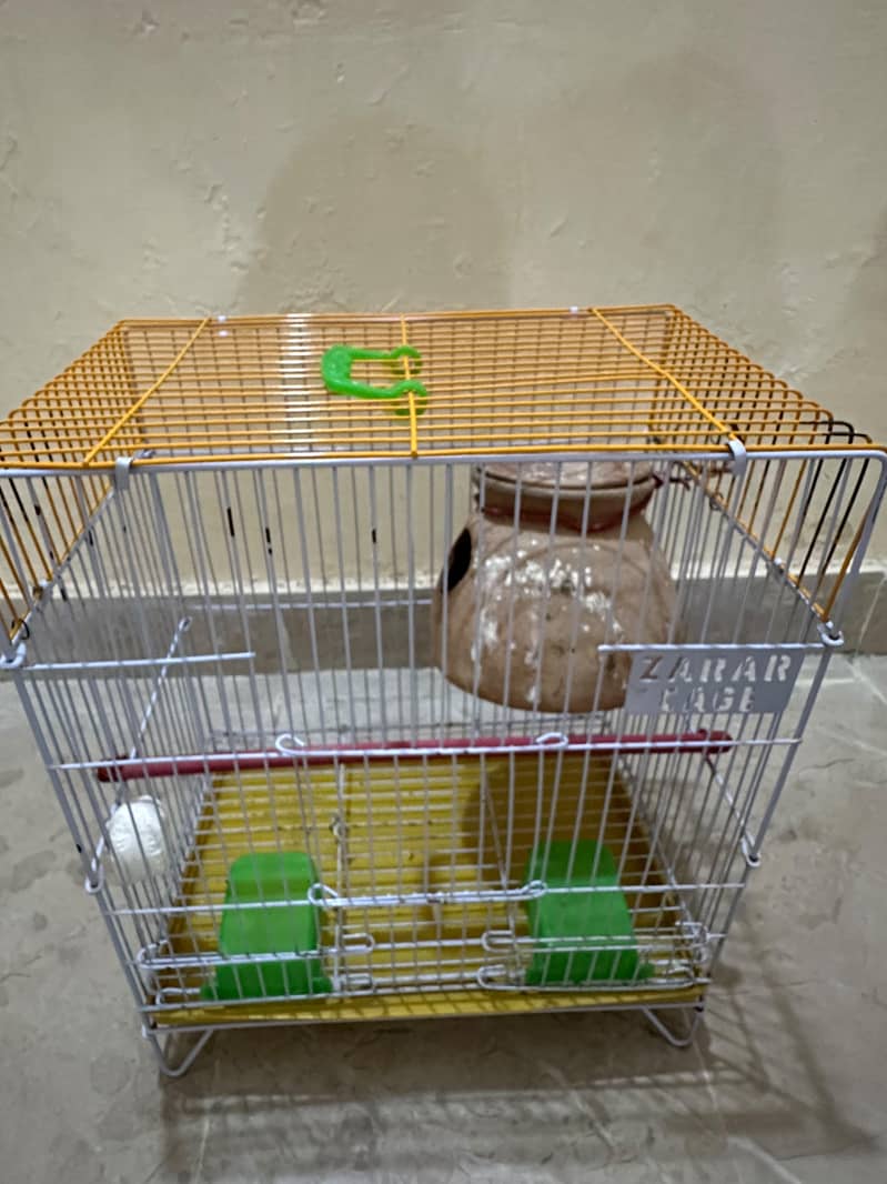 pinjra 4