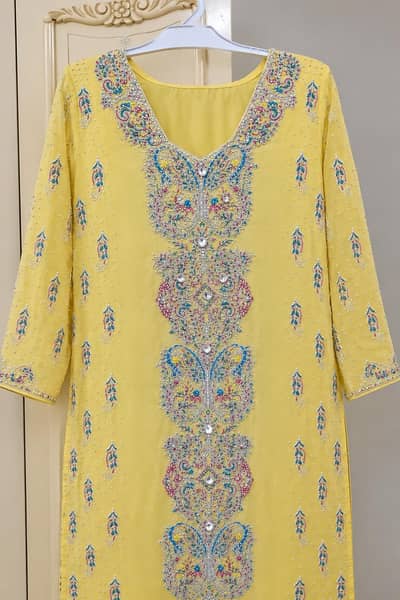 decent embroidery dress
