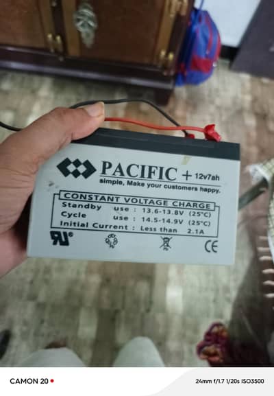 Dry battery