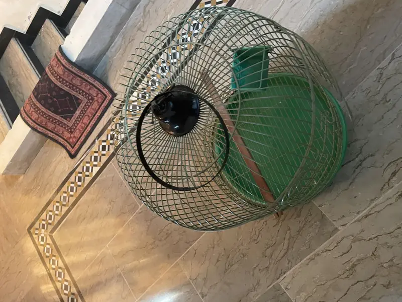 Parrot cage — photo 3